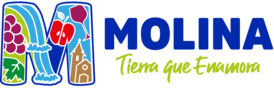 MUNICIPALIDAD MOLINA